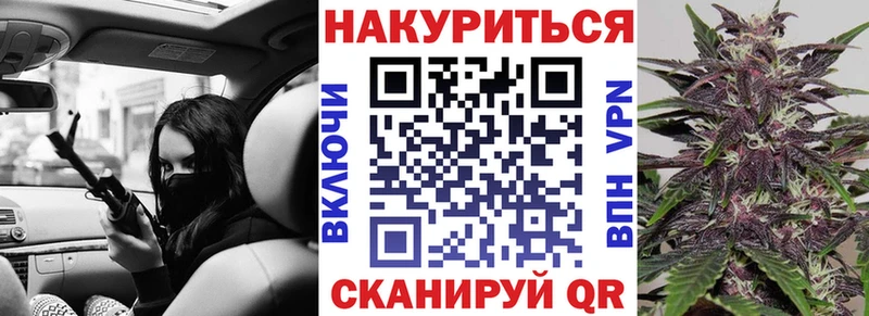 ОМГ ОМГ   Сысерть  Шишки марихуана сатива 